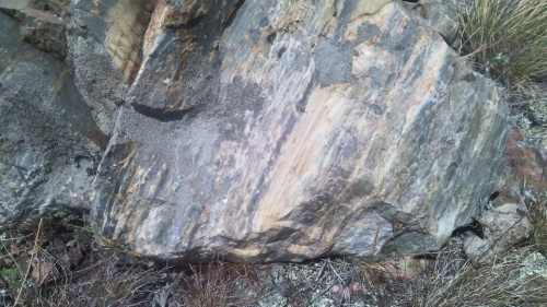 Гигантские зелёные валуны для ландшафтного дизайна весом более 5 тонн купить в Верхнеуральске